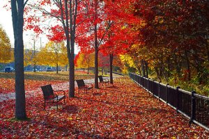 flat,550x550,075,f