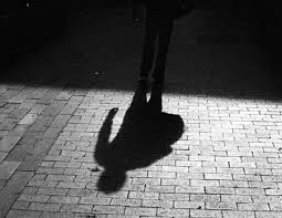 shadows