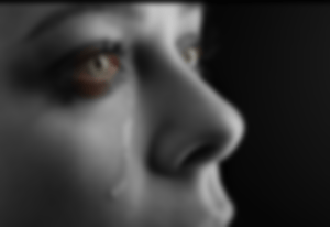 wpid-wp-1442785363342.png