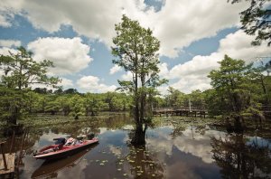 Caddo_Lake_Uncertain.jpg