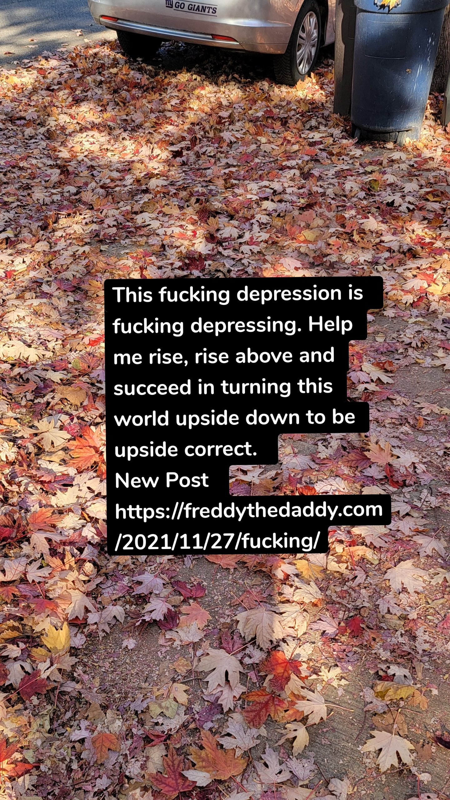 This fucking depression is  fucking depressing. Help me rise, rise above and succeed in turning this world upside down to be upside correct. 
New Post 
https://freddythedaddy.com/2021/11/27/fucking/
