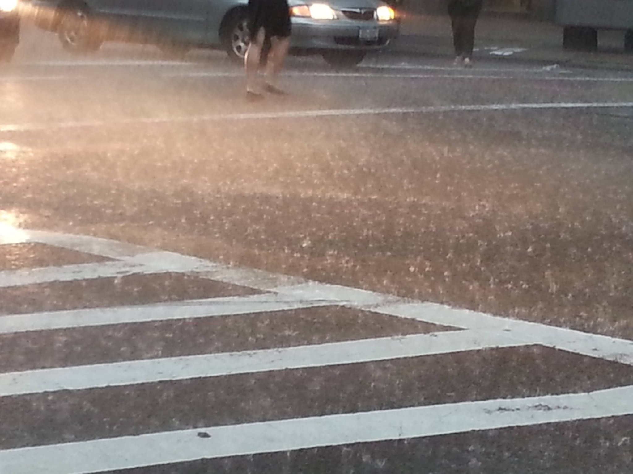 Pedestrians crossing a rainy street